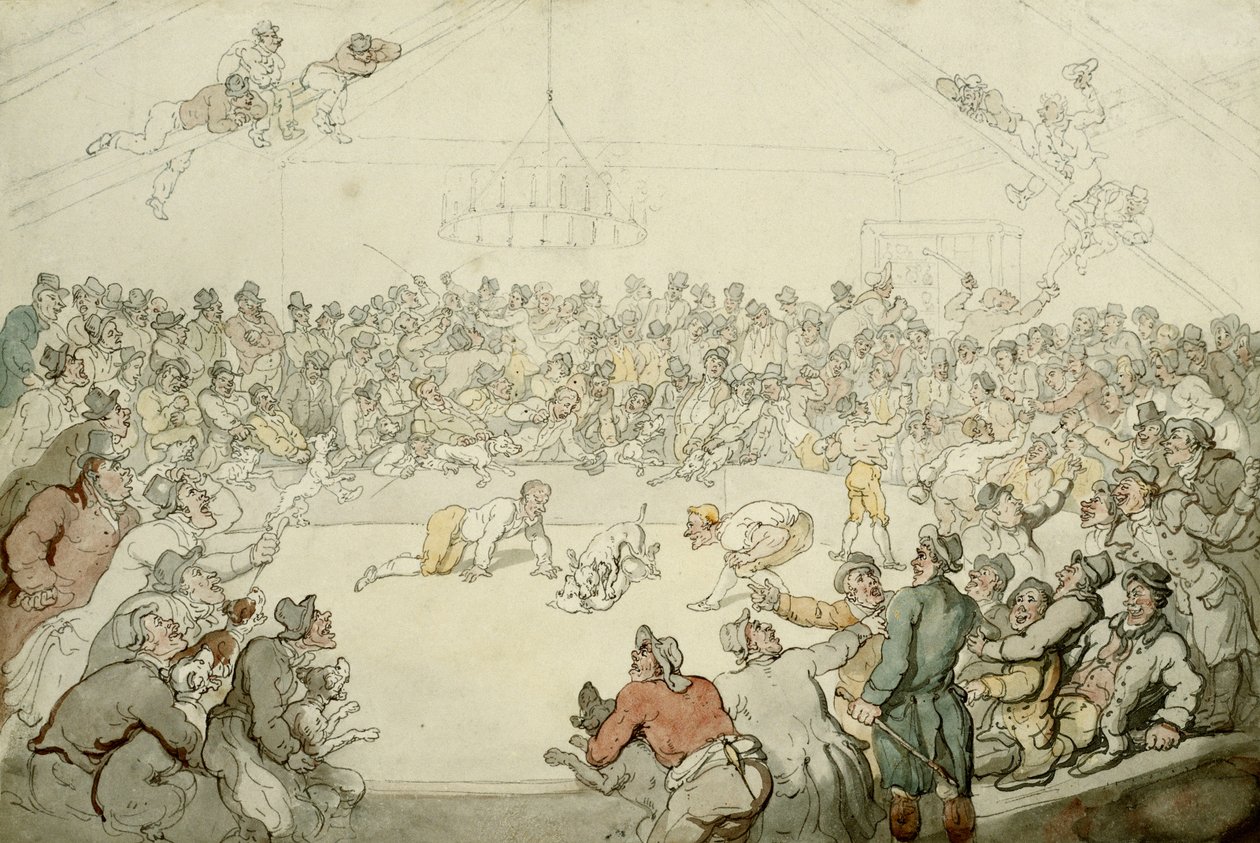De Westminster Pitt, 1798 door Thomas Rowlandson