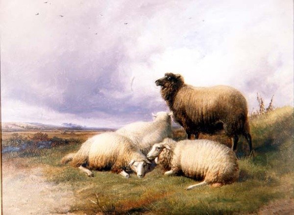 Schapen in een landschap door Thomas Sidney Cooper