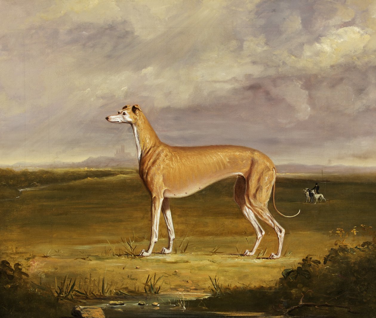 De Greyhound, c.1830 door Thomas W. Bretland