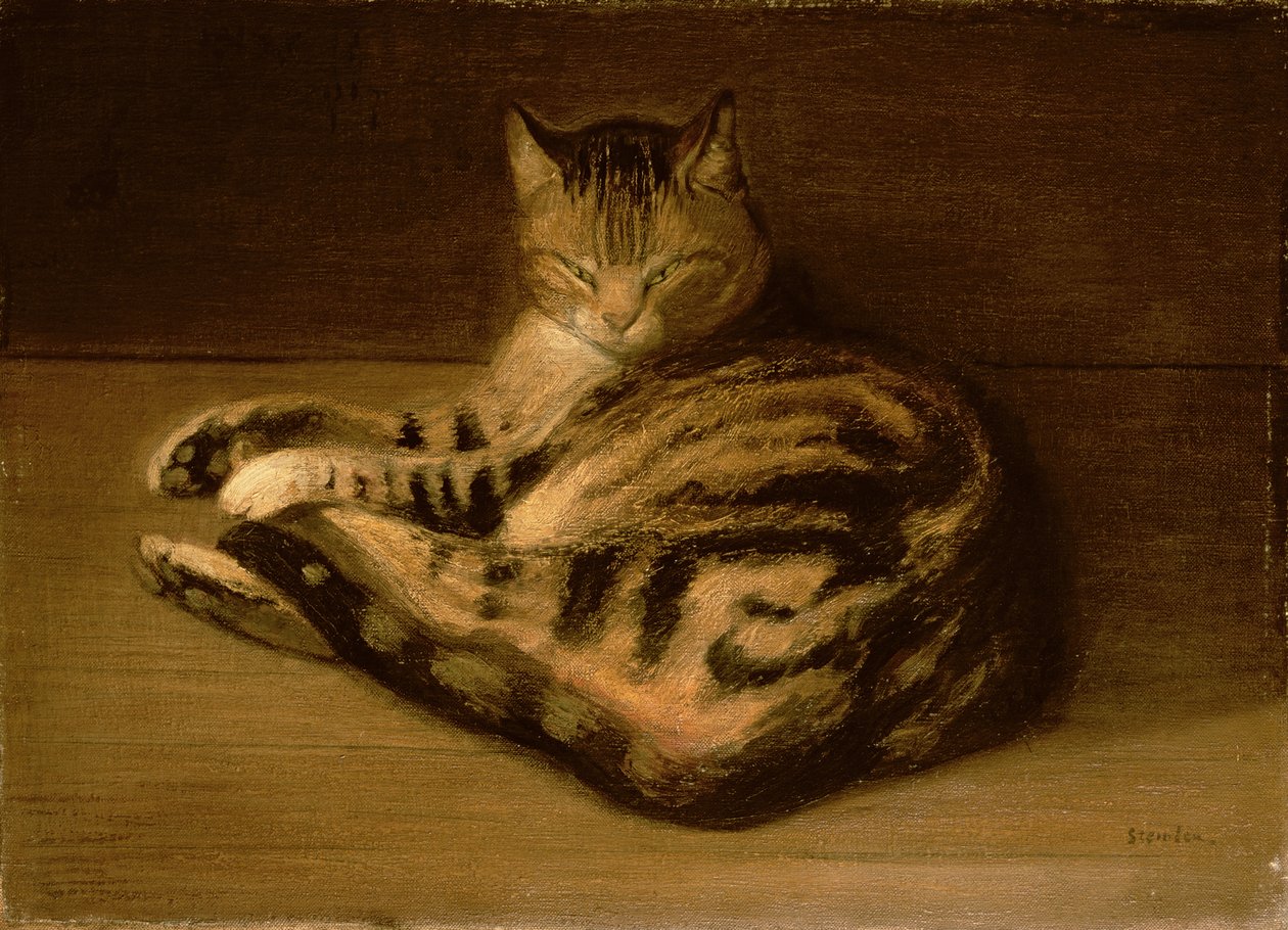 Liggende kat, 1898 door Théophile Alexandre Steinlen