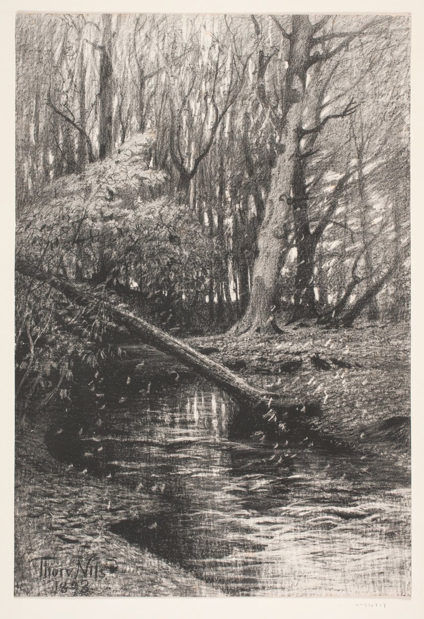 Boslandschap met een beek door Thorvald Niss