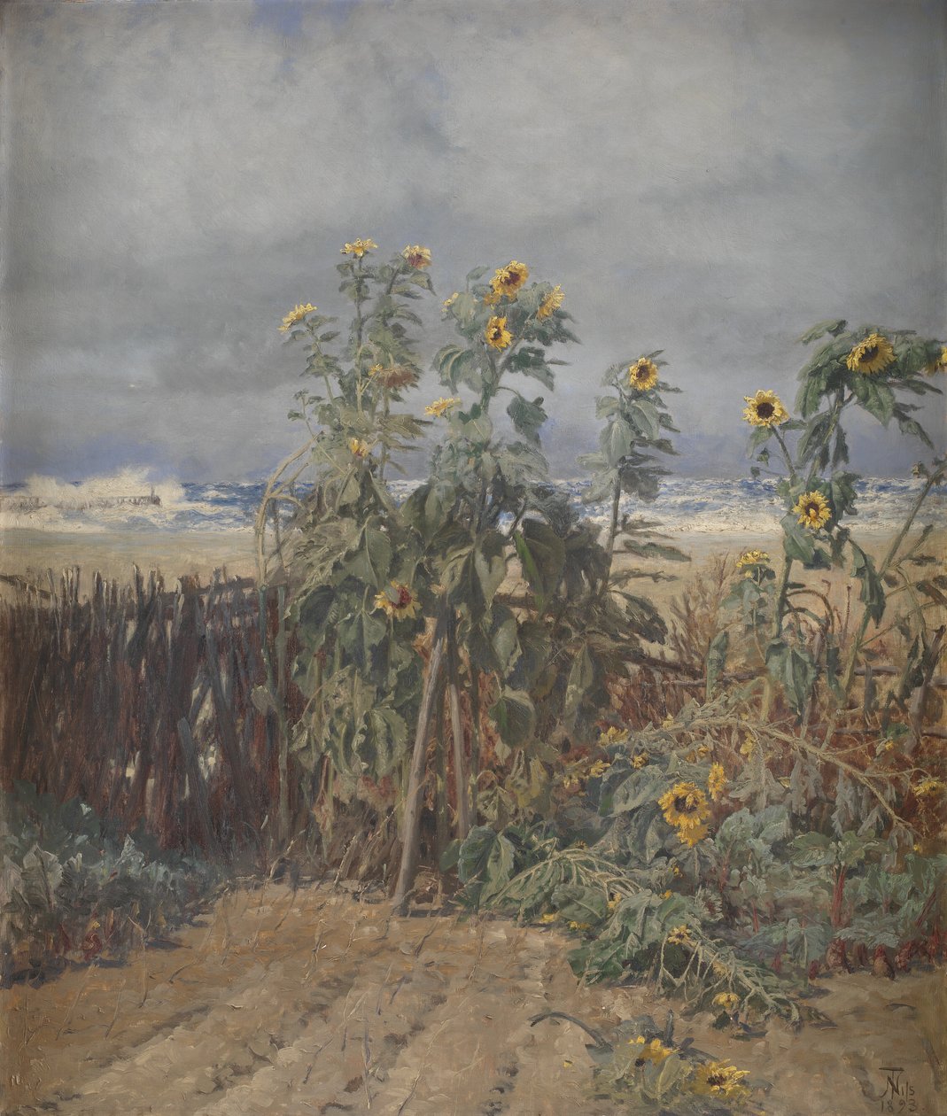 Zonnebloemen op een strand door Thorvald Niss