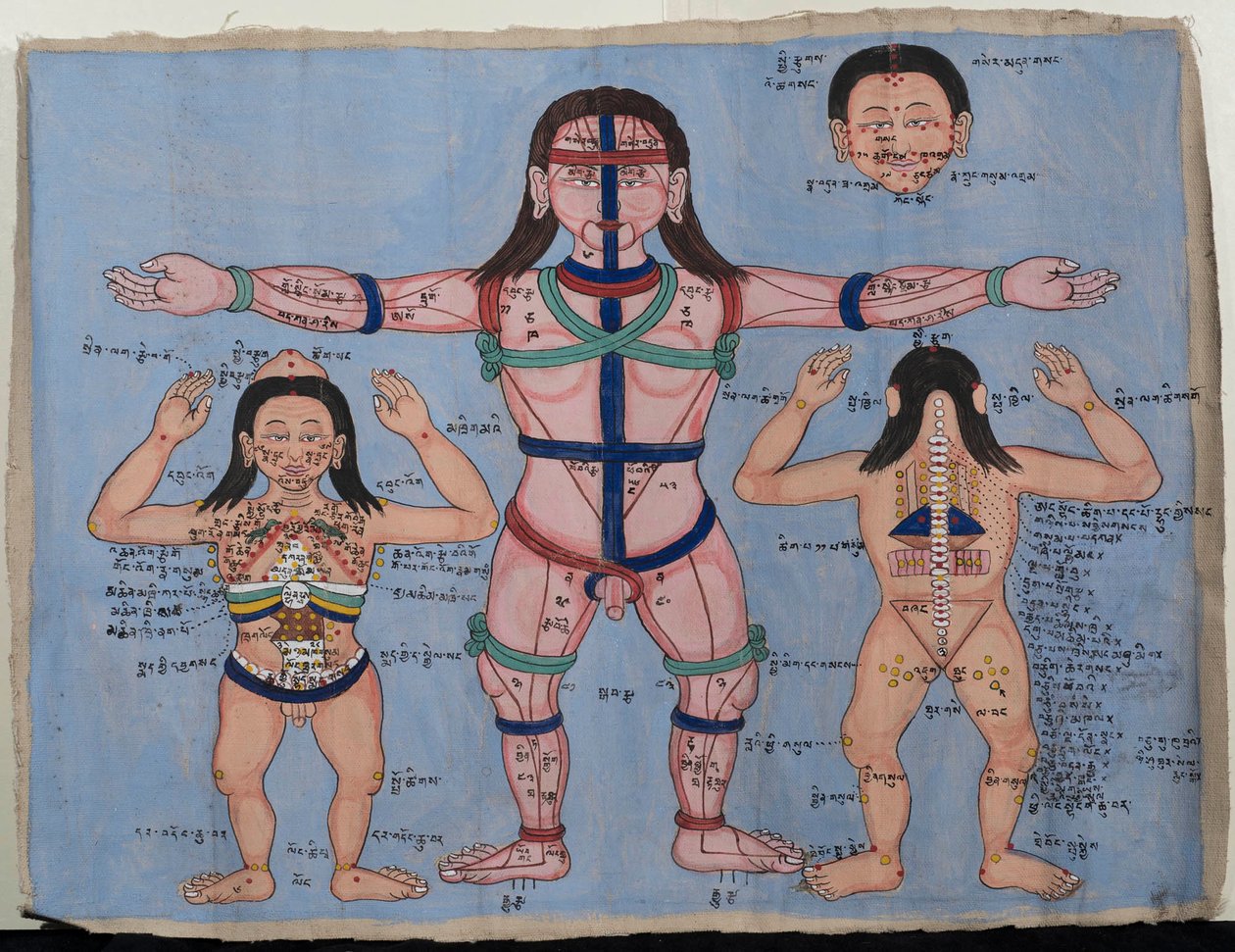 Anatomische kaart door Tibetan School