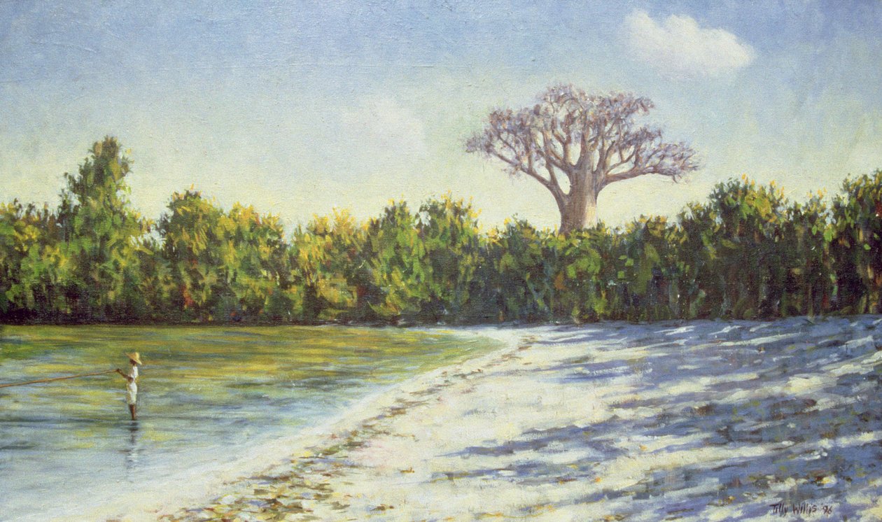 Vissen in Afrika, 1996 door Tilly Willis