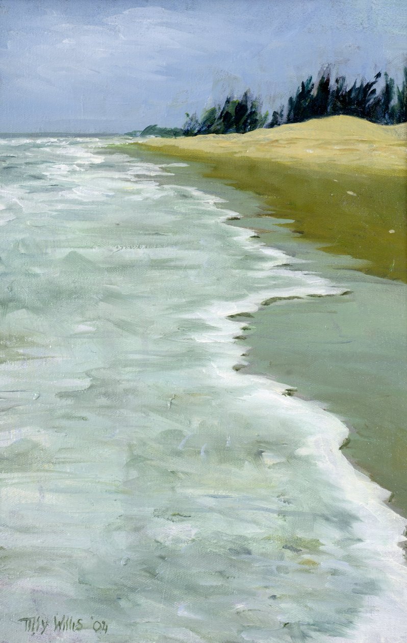 Het strand, 2004 door Tilly Willis