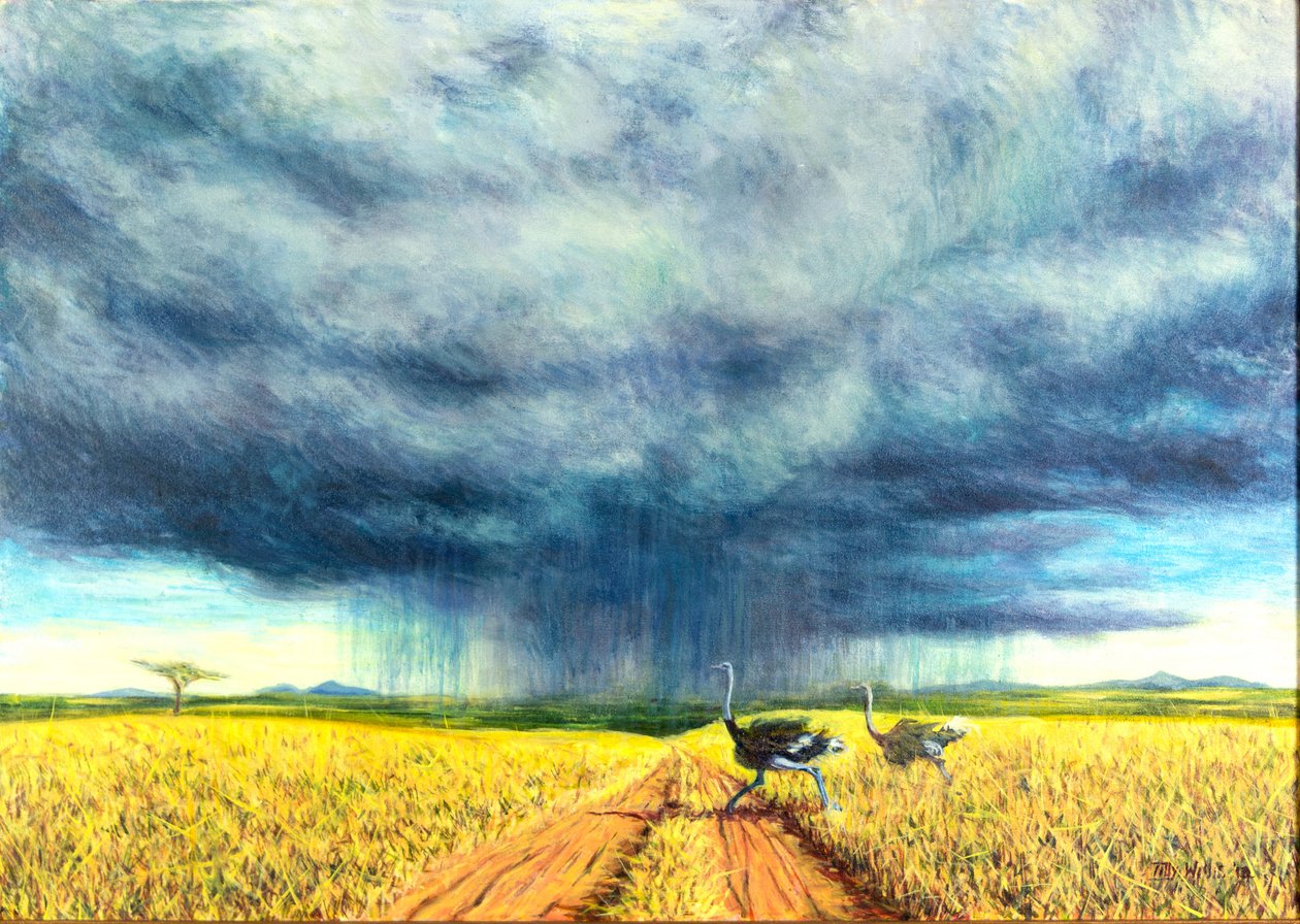 Afrikaanse storm, 2016 door Tilly Willis