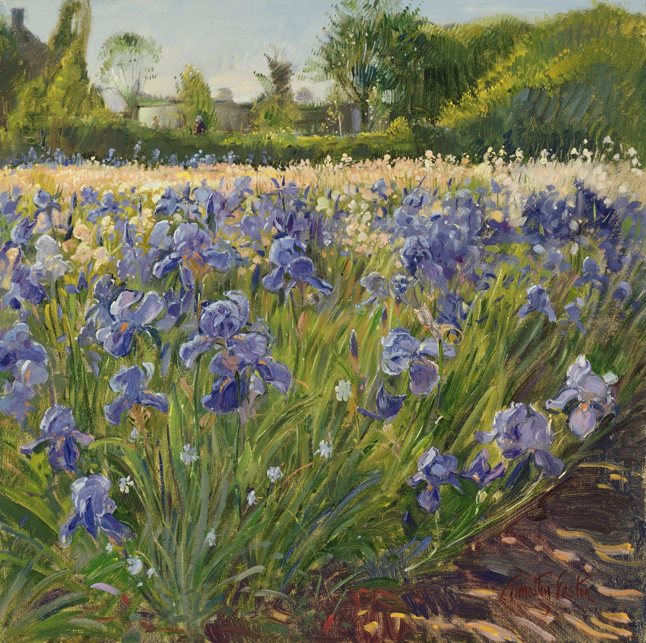 Boven de blauwe irissen door Timothy Easton