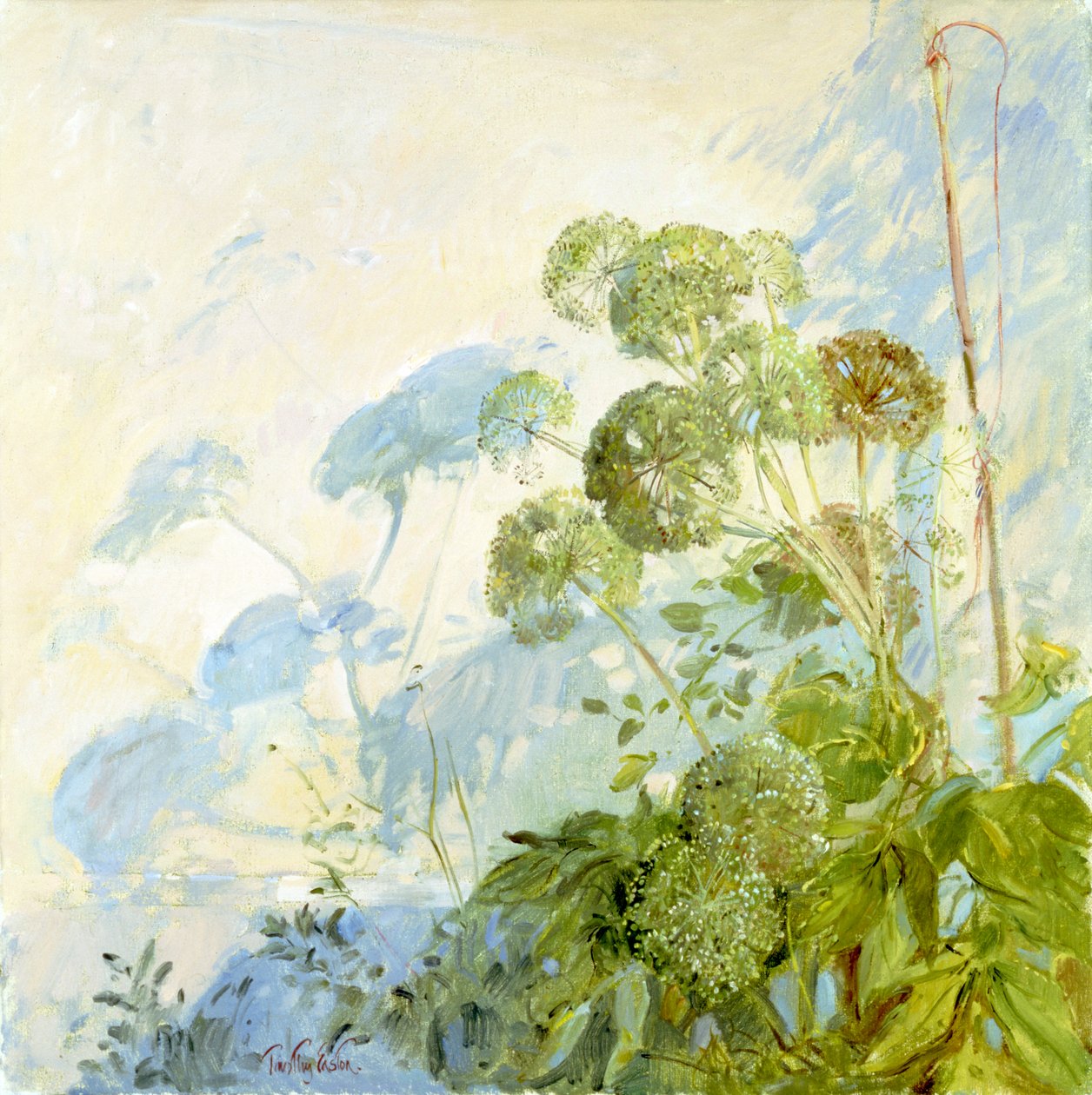 Angelica Schaduwen door Timothy Easton
