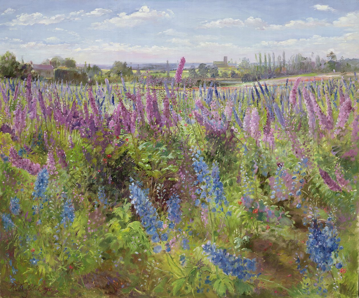Ridderspoor en papavers, 1991 door Timothy Easton