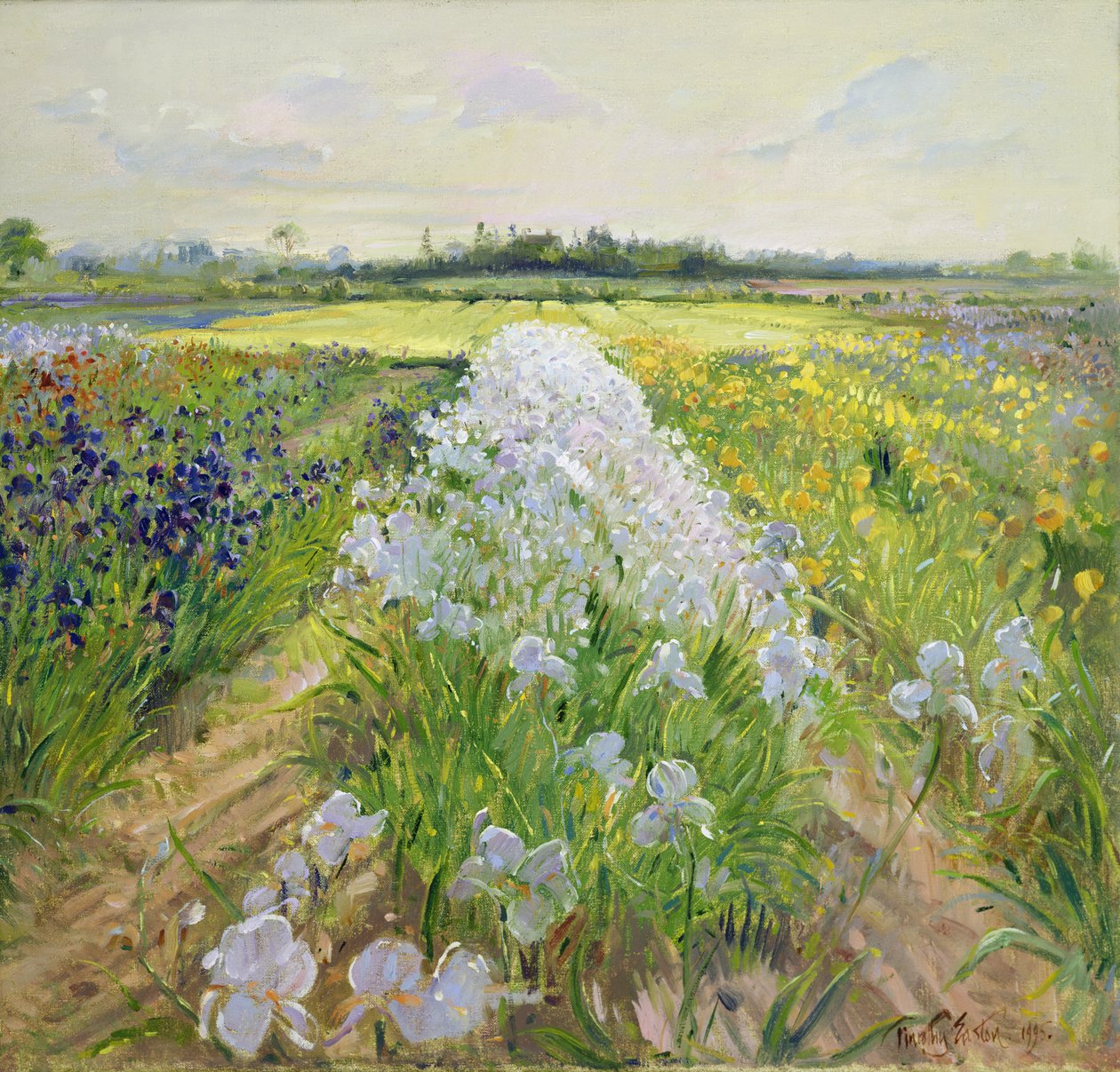 Langs de lijn, 1995 door Timothy Easton