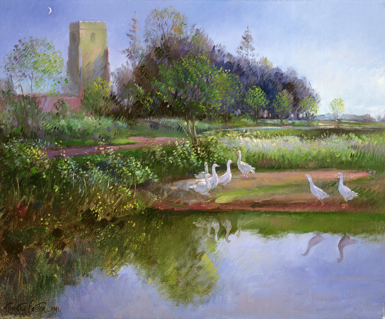 Ganzen bij zonsondergang, 1991 door Timothy Easton