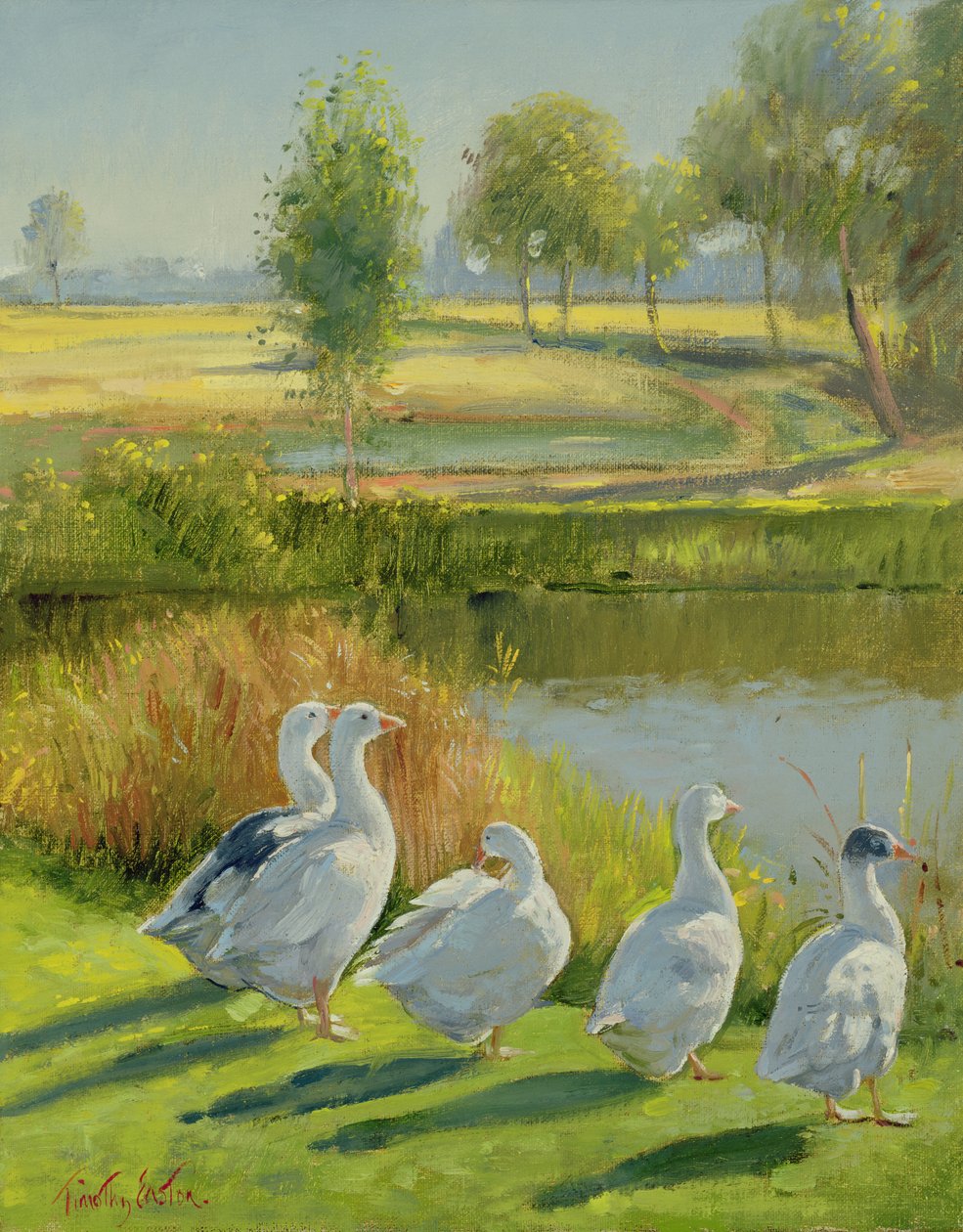 Ganzenhoeder door Timothy Easton