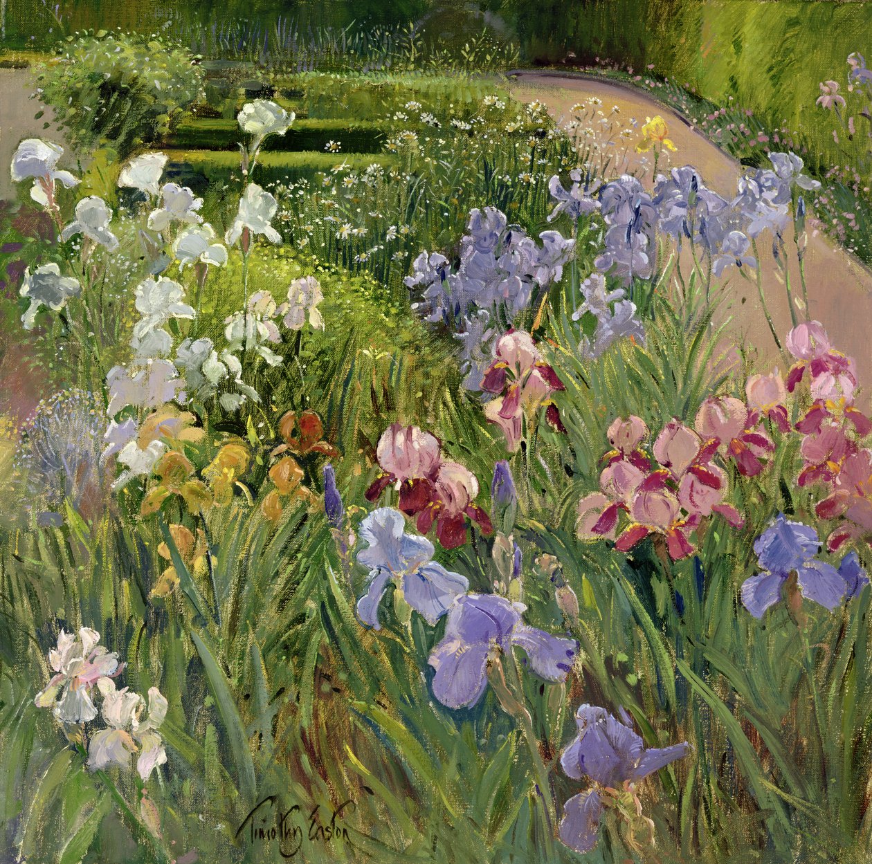 Iris in Bedfield door Timothy Easton