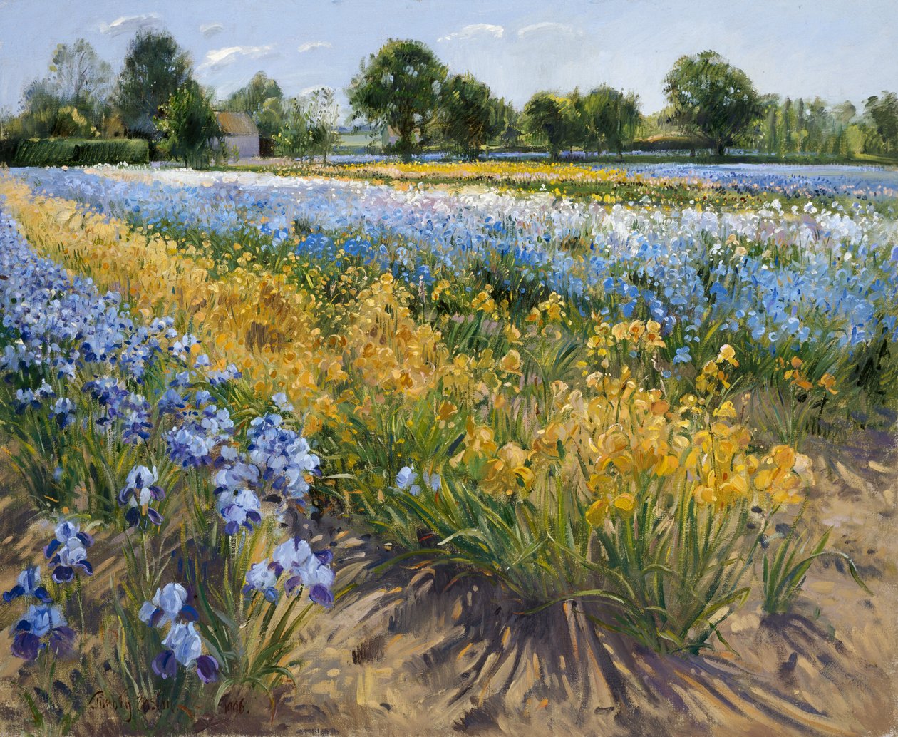 Iris bij Burgate door Timothy Easton