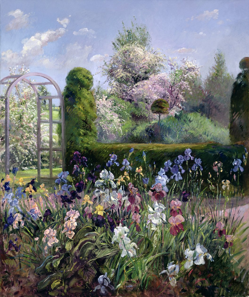 Iris in de formele tuinen, 1993 door Timothy Easton