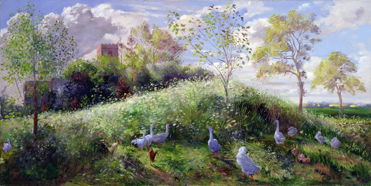 Berg in mei door Timothy Easton