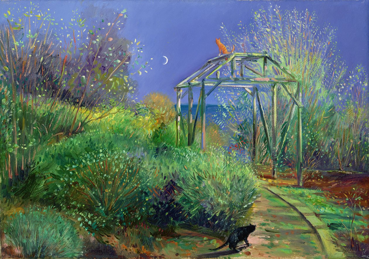 Nachtelijke Feesten door Timothy Easton