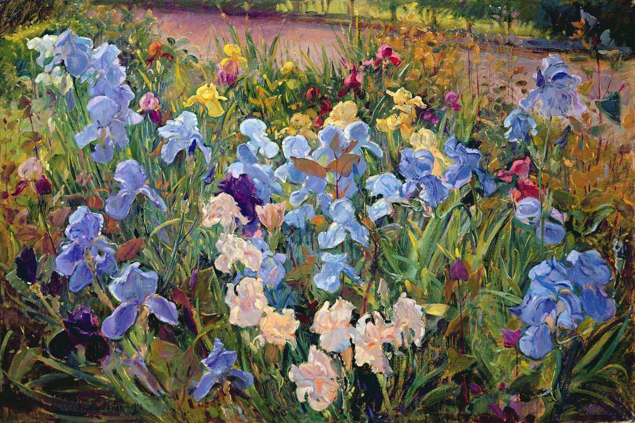 Het irisbloembed, 1993 door Timothy Easton