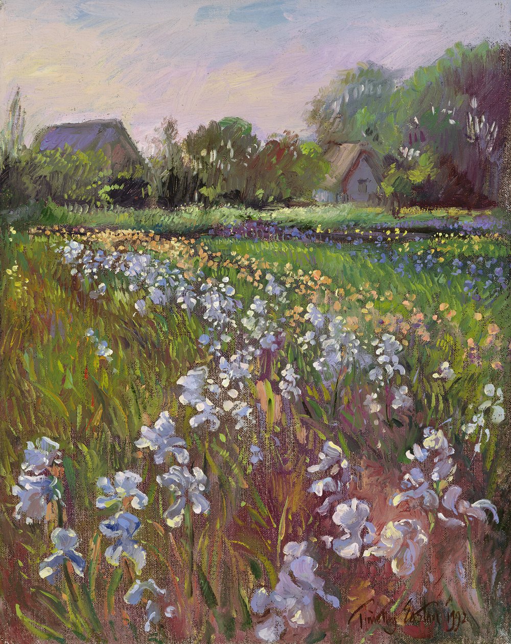 Witte irissen en boerderij door Timothy Easton