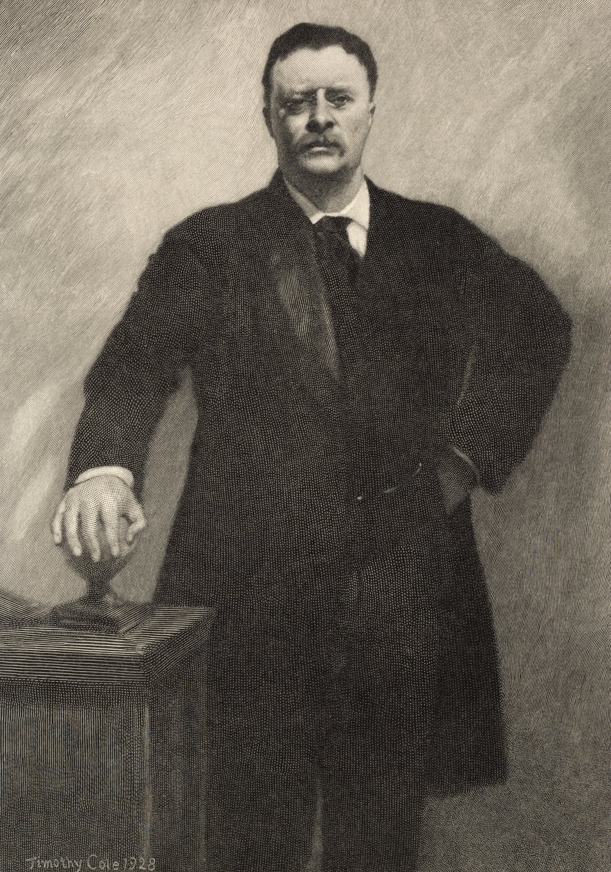 Theodore Roosevelt, 1928 door Timothy Cole