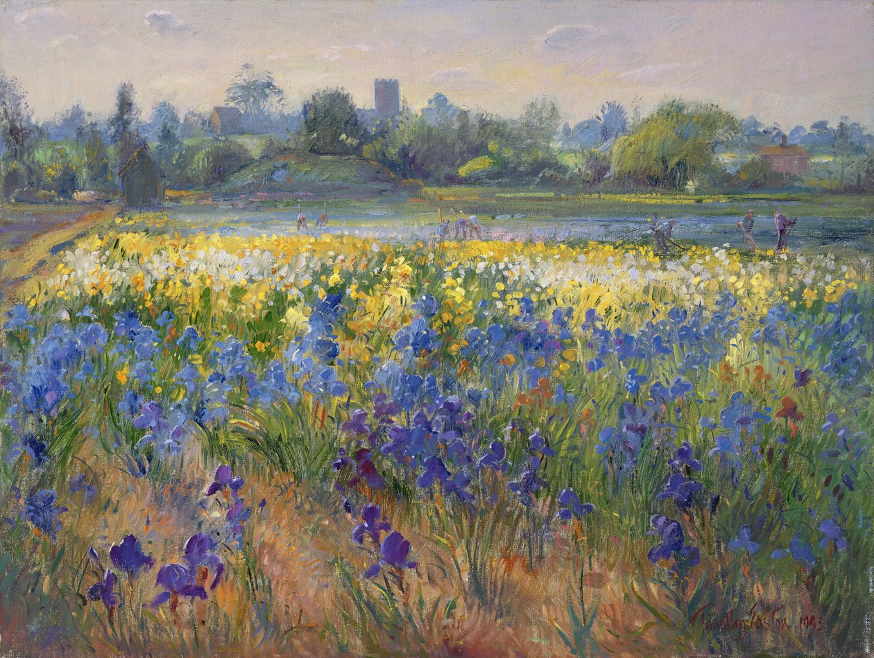 Blauwe Nevel bij Burgate, 1993 door Timothy Easton