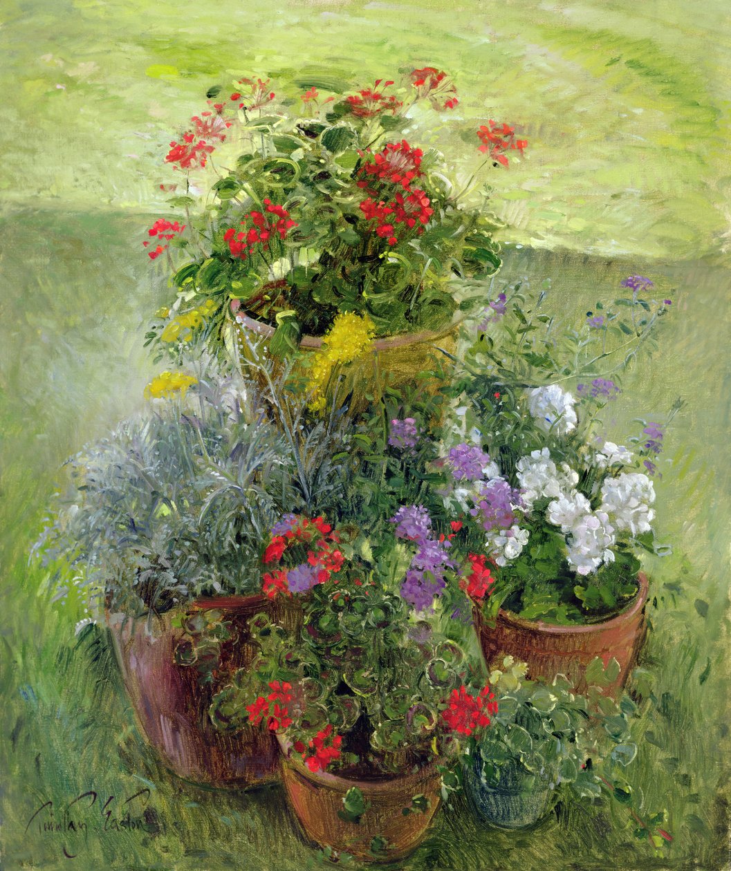 Schaduwpotten door Timothy Easton