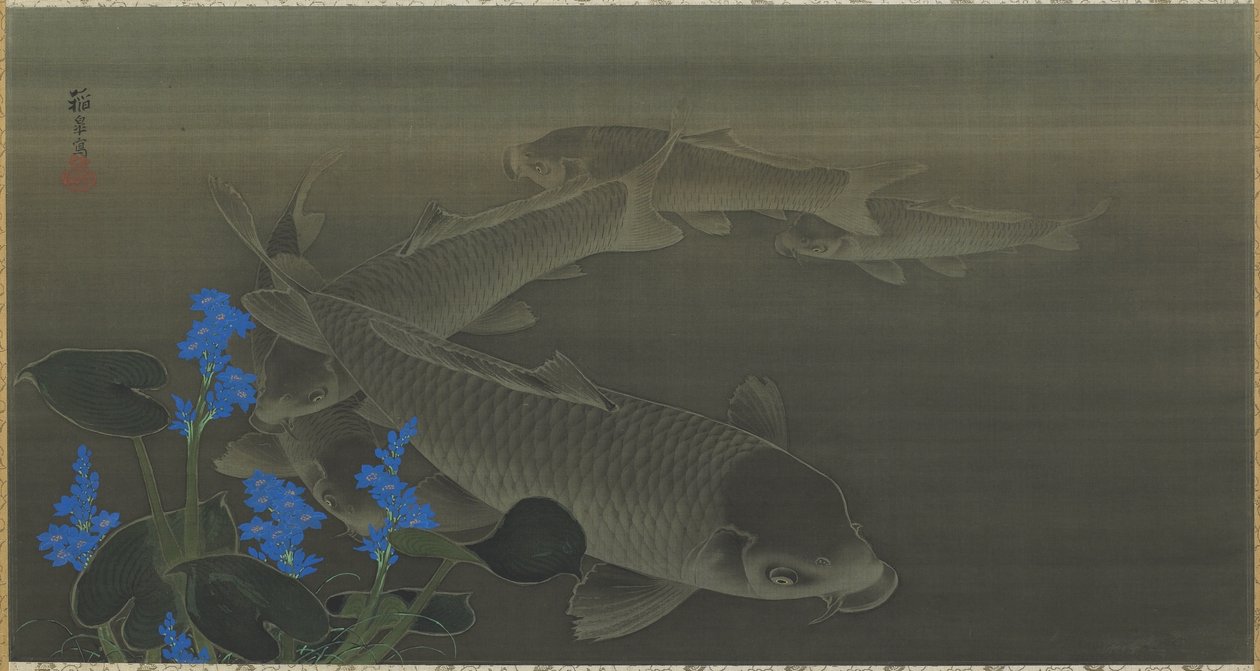 Karper, Edo-periode, 1787-1846 door Toko Kuroda