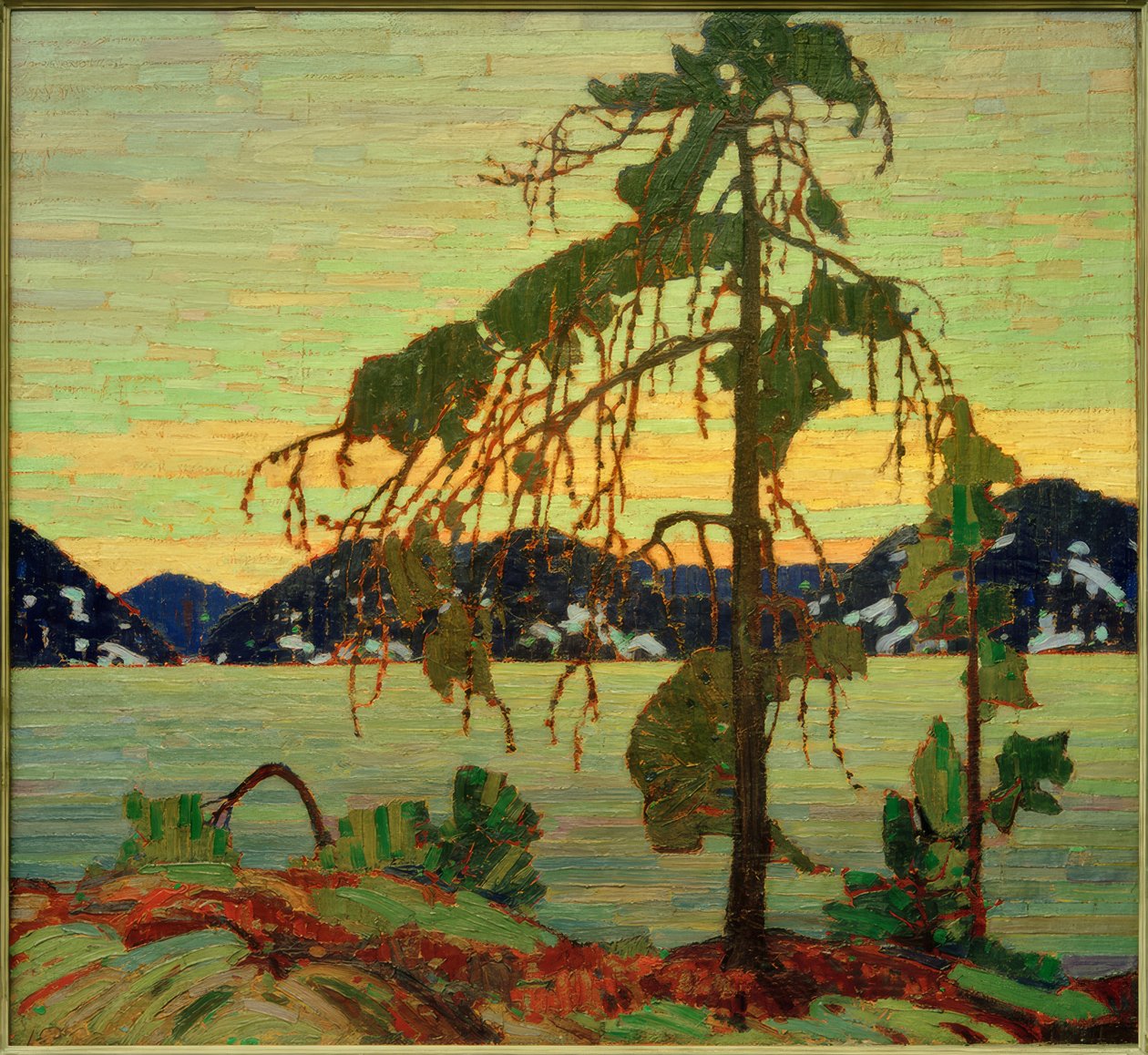 De Jack Pine door Tom Thomson