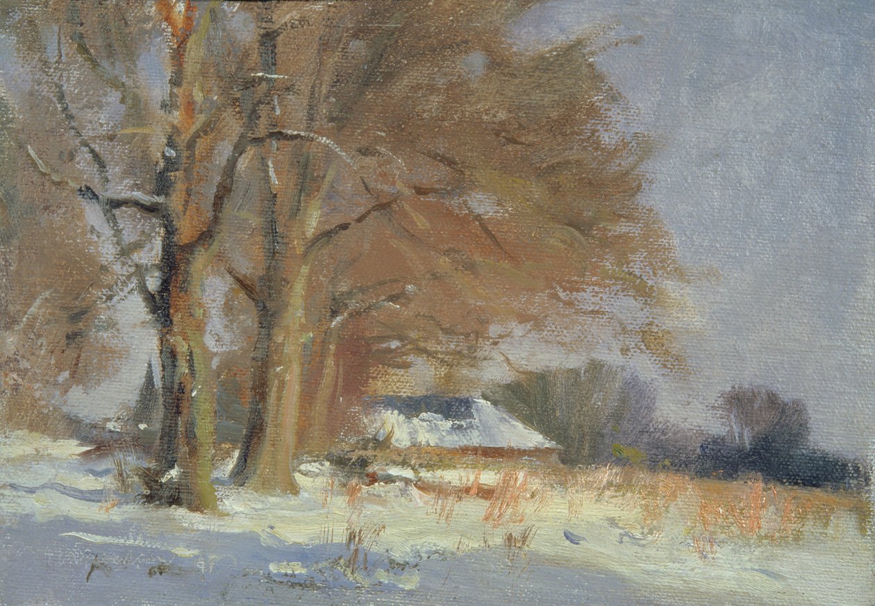 Lindebomen in de sneeuw door Trevor Chamberlain