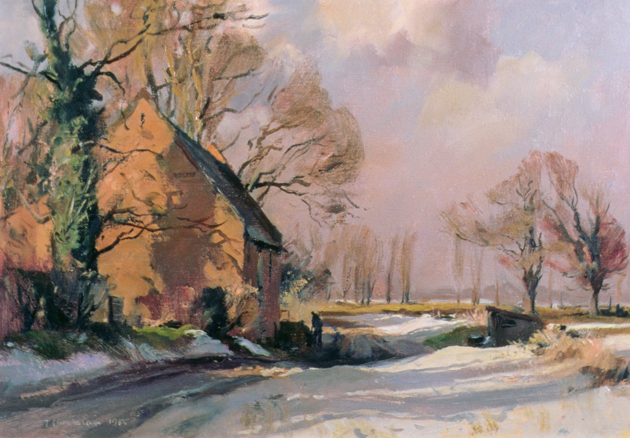 Norfolk Dooi door Trevor Chamberlain
