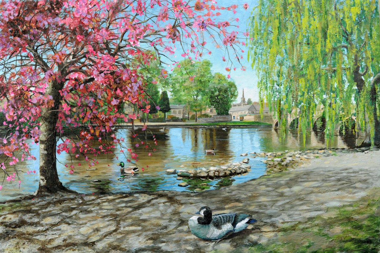 Bakewell Brug, Derbyshire door Trevor Neal
