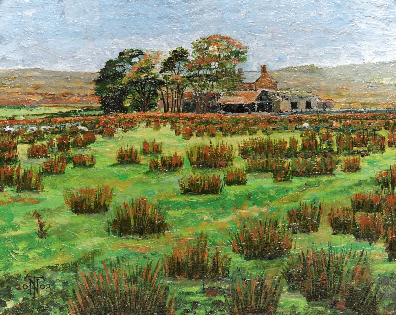Boerderij Cumbria, 2008 door Trevor Neal