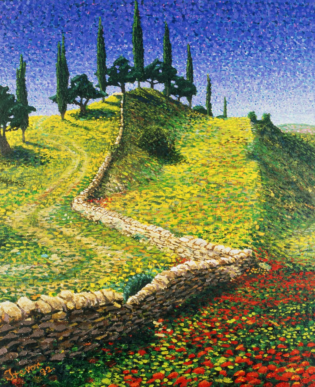 Spaanse Heuveltop, 1992 door Trevor Neal