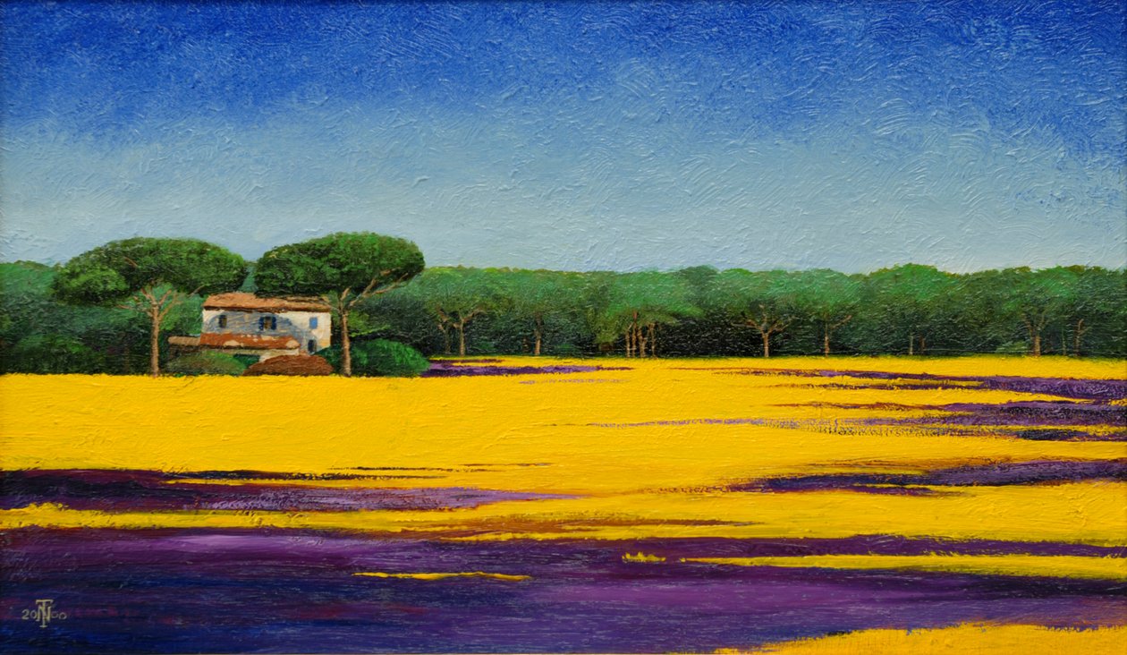 Toscaanse Landschap door Trevor Neal