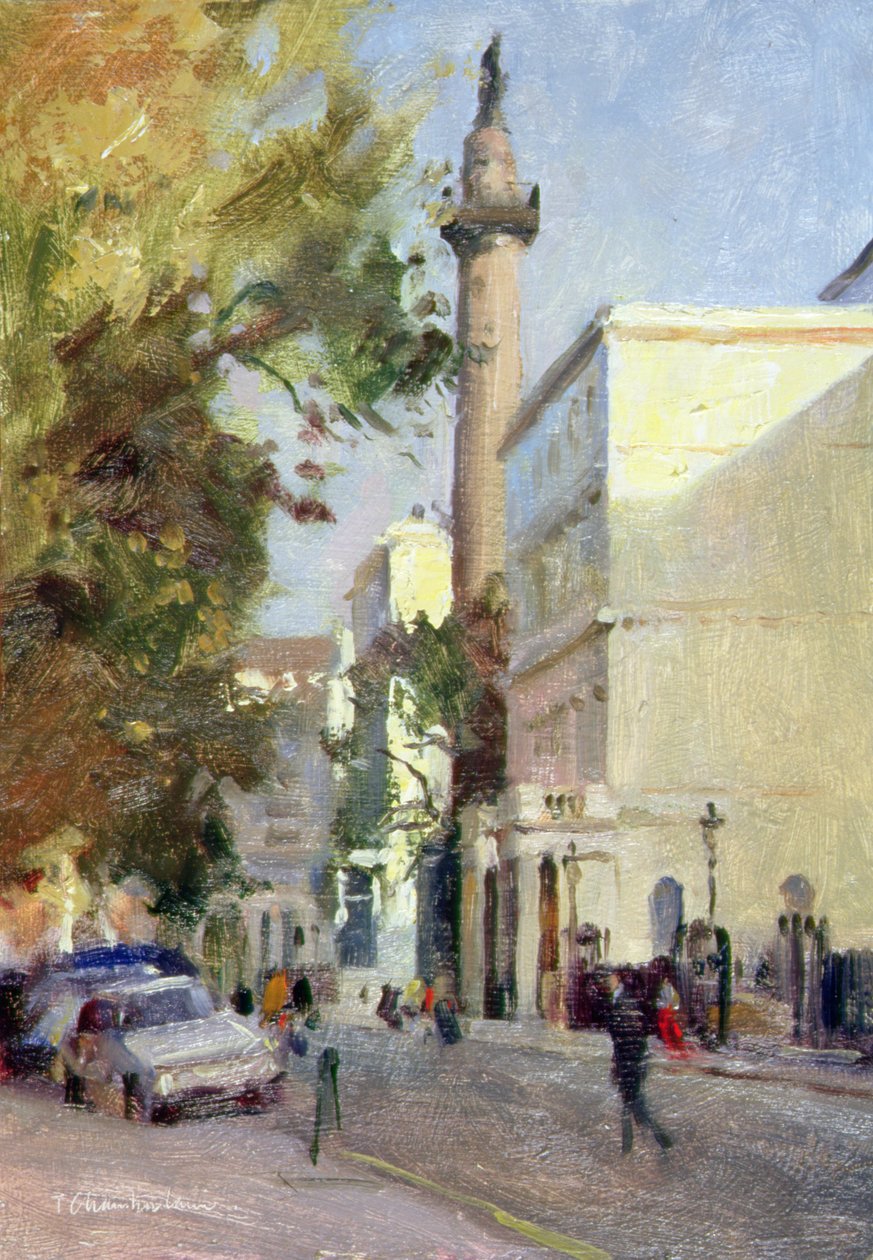 Carlton House Terrace door Trevor Chamberlain