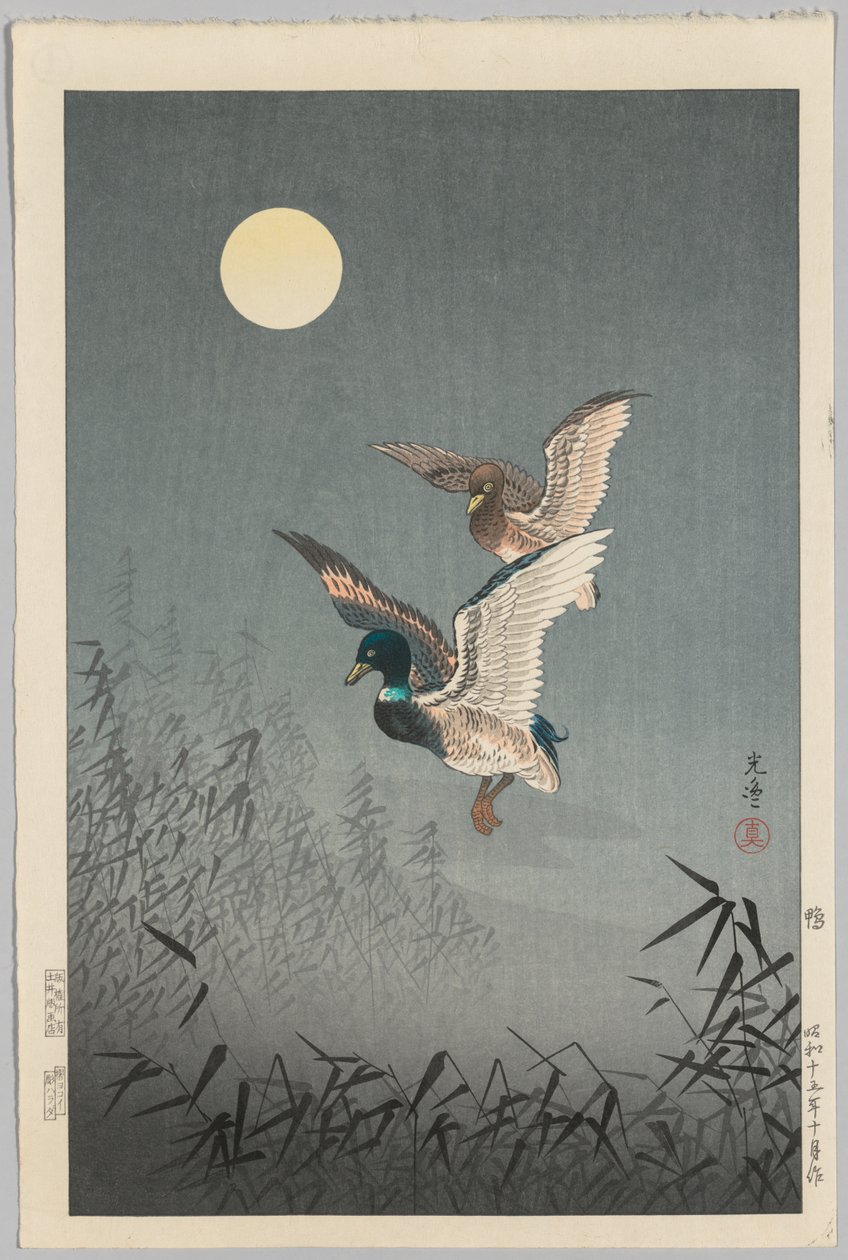 Tokyo uitzichten: Eenden door Tsuchiya Kōitsu