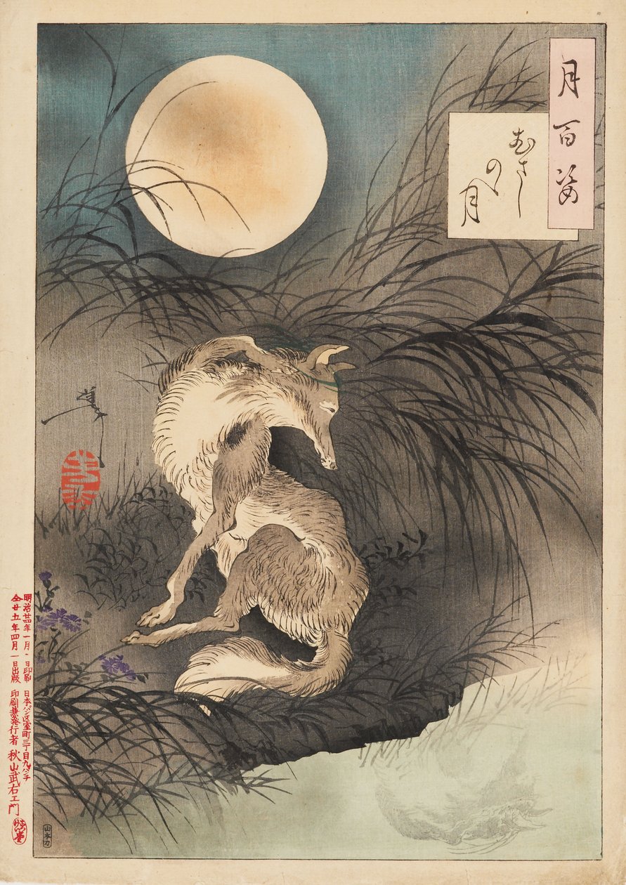 Musashi-vlakte Maan door Tsukioka Yoshitoshi