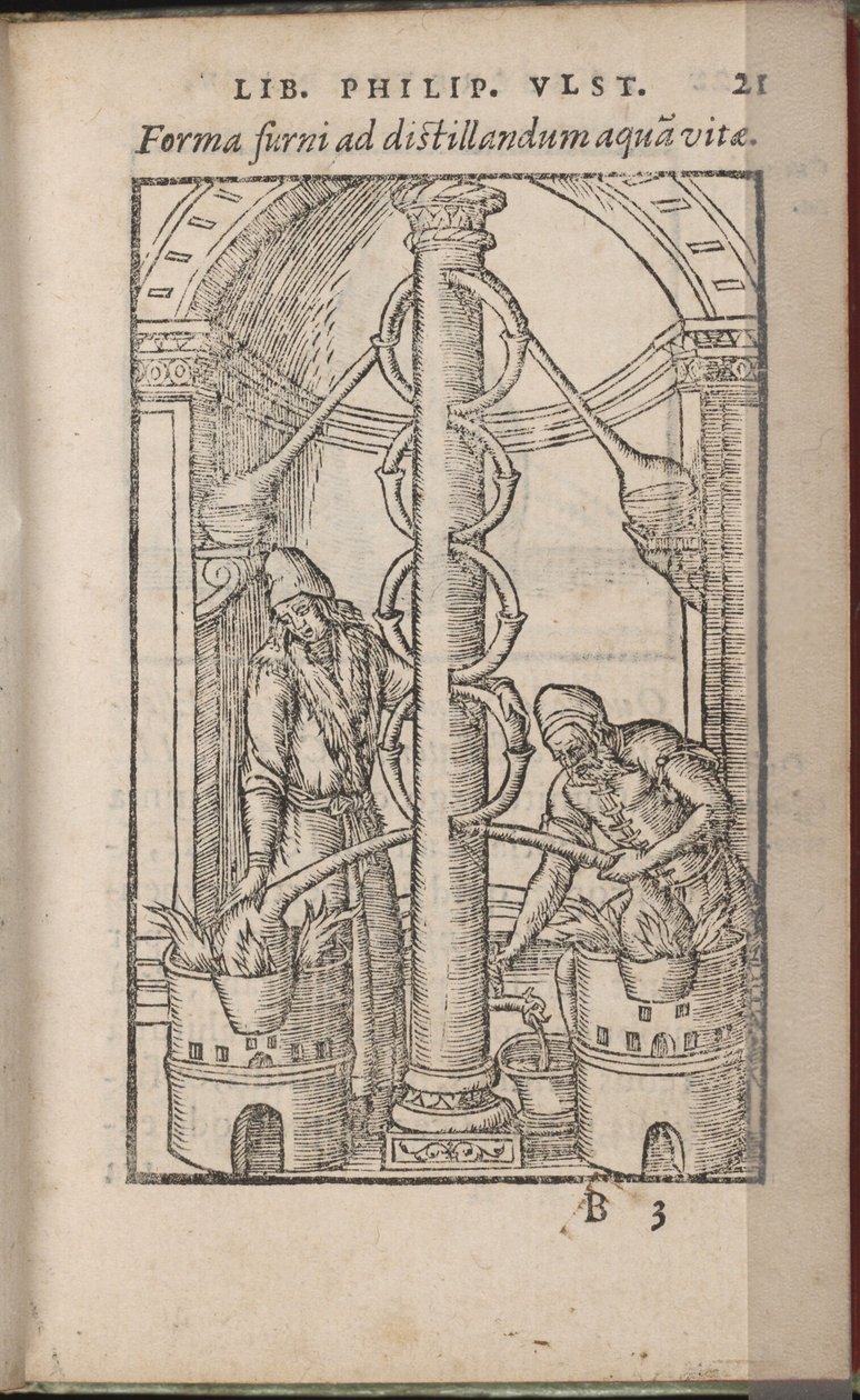 Alchemische apparatuur Uit: Liber de secretis naturae, 1556-1557 door Ulstadius