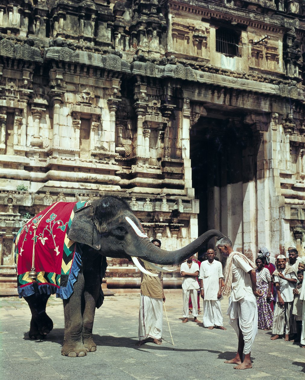 Een man wordt gezegend door een olifant in de Varadarajaswamy Tempel door Unbekannt Unbekannt