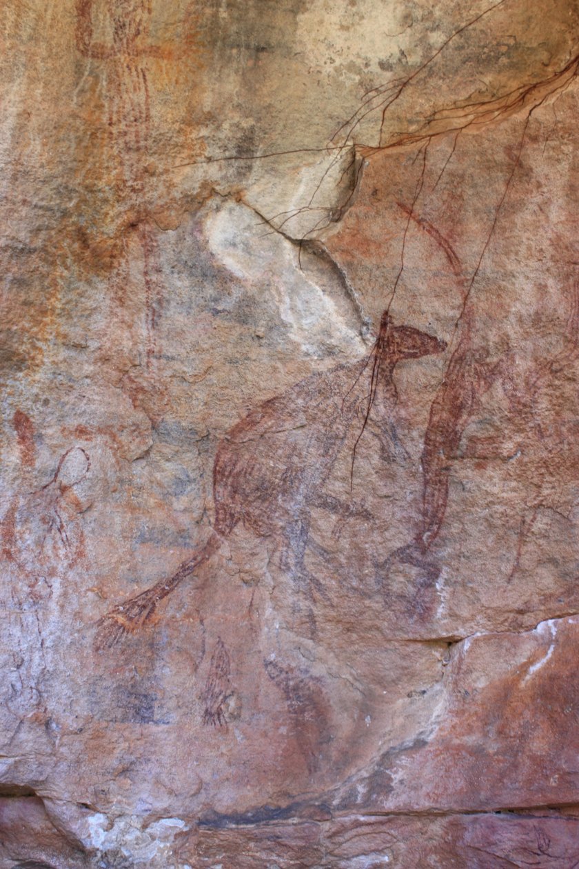 Kangoeroe en thylacine door Unbekannt Unbekannt