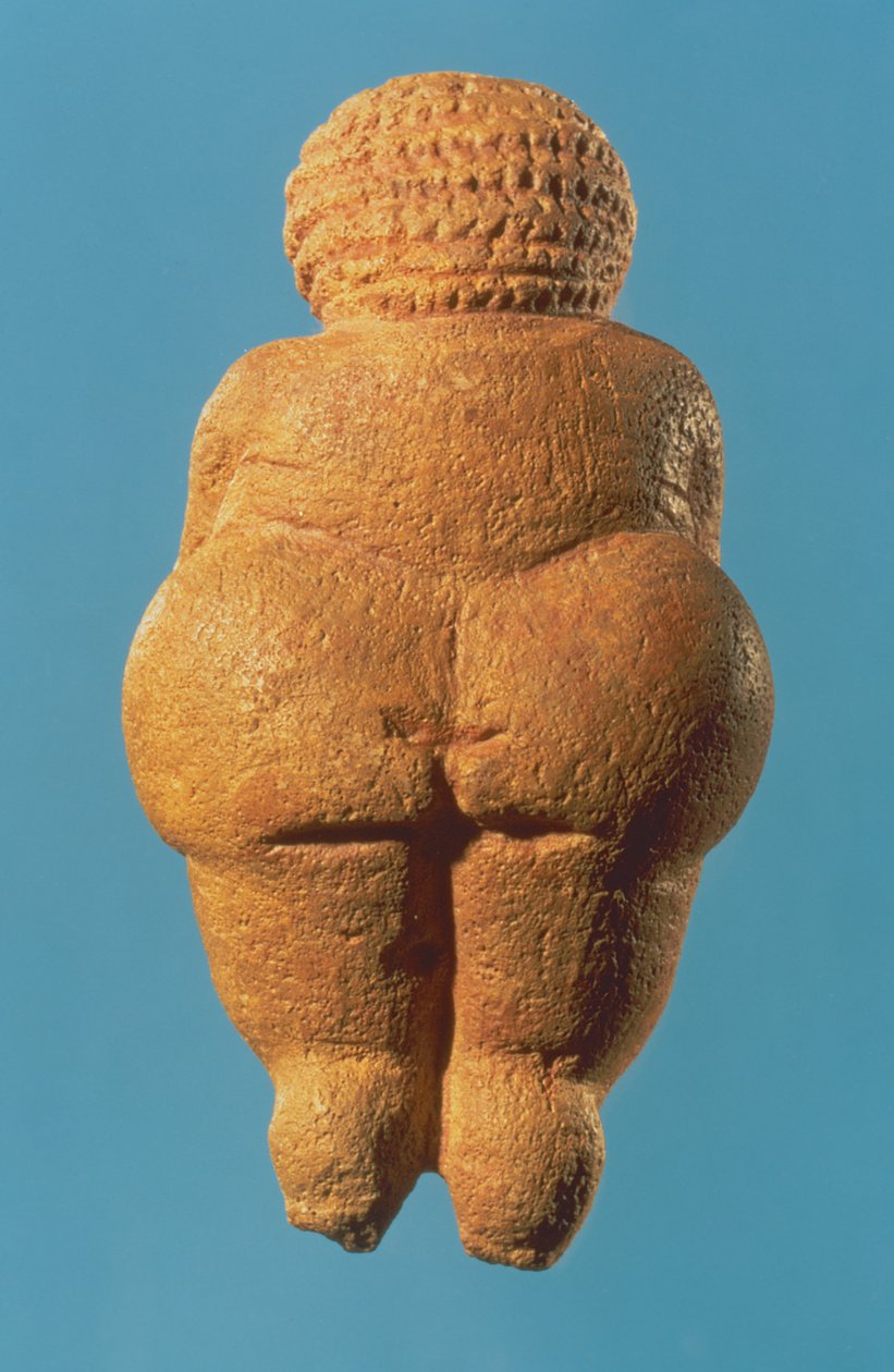 De Venus van Willendorf, achteraanzicht van vrouwelijke figuur, Gravettiaanse cultuur, Boven-Paleolithische periode, c.30000-18000 v.Chr. door Unbekannt Unbekannt