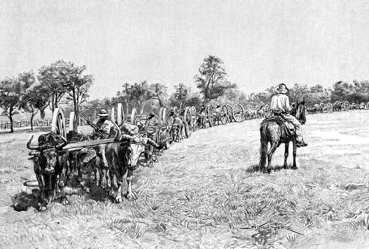 Een konvooi van wagens, Zuid-Amerika, 1895 door Unbekannt