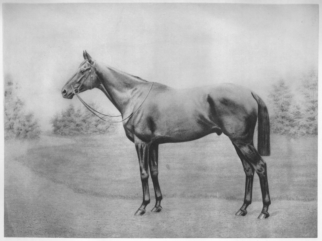 Admiraal Togo III, 1911 door Unbekannt