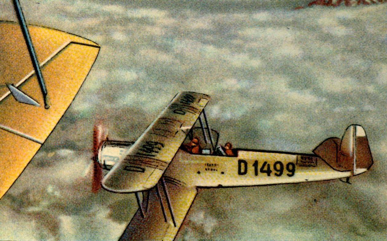 Albatros L 75 Ass vliegtuig, 1920s door Unbekannt