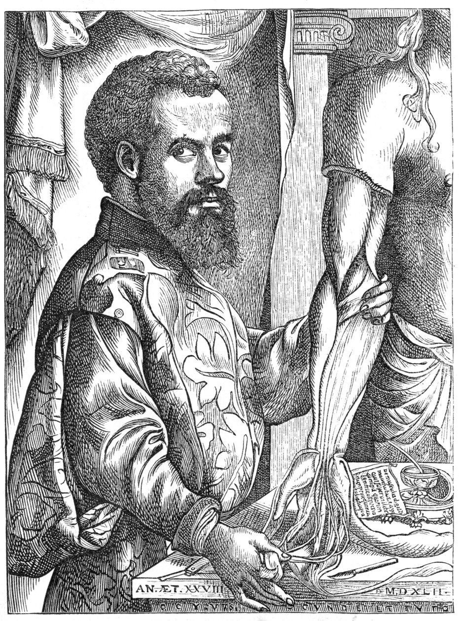 Andreas Vesalius, 16e-eeuwse Vlaamse anatoom door Unbekannt