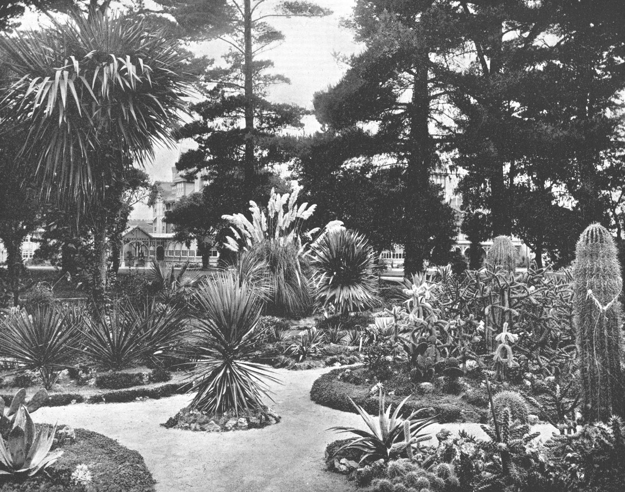Arizona Garden, Monterey, Californië, VS, ca. 1900 door Unbekannt