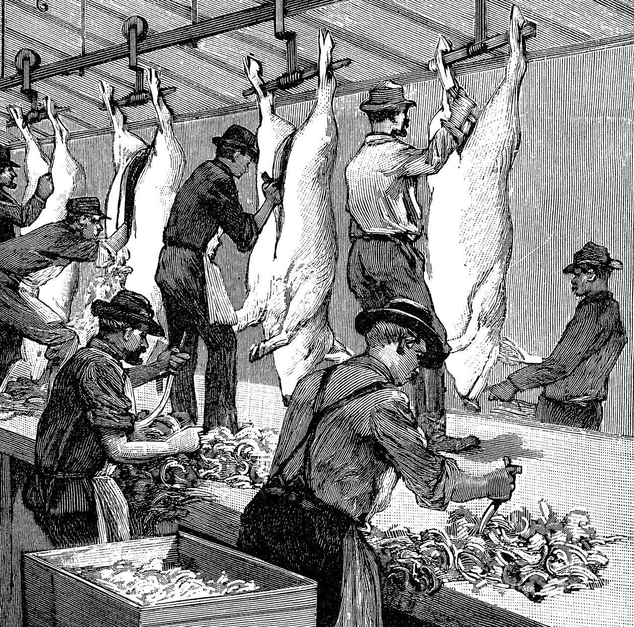 Slachthuis van Armour Company, Chicago, Illinois, VS, 1892 door Unbekannt