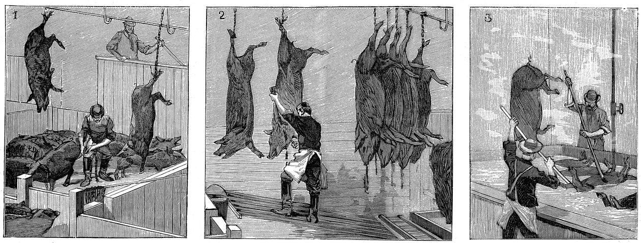 Varkensslachthuis van Armour Company, Chicago, Illinois, VS, 1892 door Unbekannt