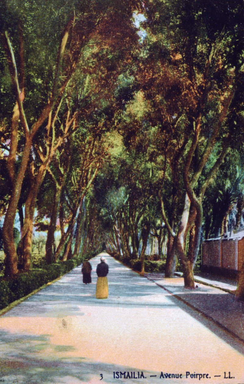 Avenue Poirpre, Ismailia, Egypte, ca. 1900 door Unbekannt