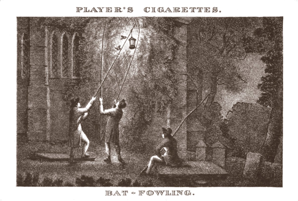 Bat-Fowling, 1924 door Unbekannt